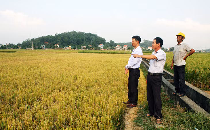Đồng chí Lê Hải Câu, Phó Bí thư Thường trực Đảng uỷ phường Hưng Đạo (thứ nhất, trái sang) cùng Ban Chi uỷ Chi bộ khu Thủ Dương đi thực địa, chuẩn bị nội dung cho sinh hoạt chi bộ tháng 11-2016