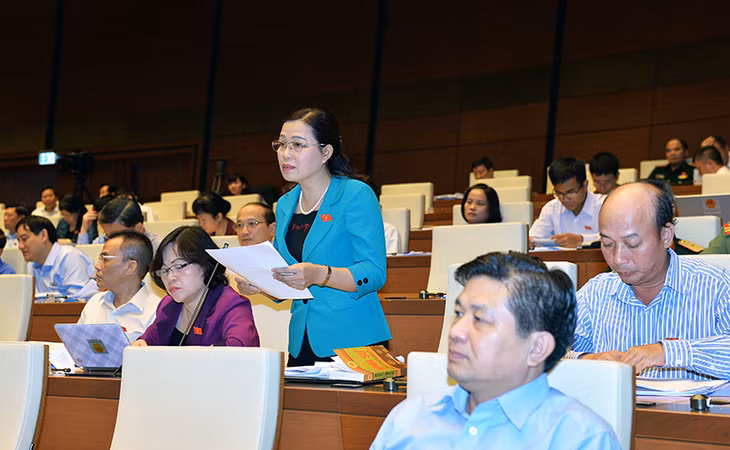ĐB Đỗ Thị Lan, Phó trưởng Đoàn đại biểu Quốc hội tỉnh phát biểu thảo luận