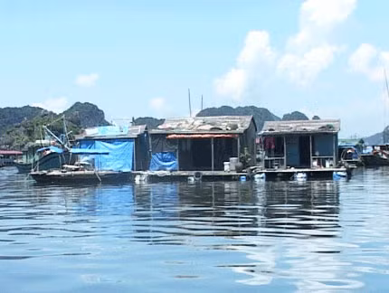Nhà bè trái phép trên Vịnh Hạ Long