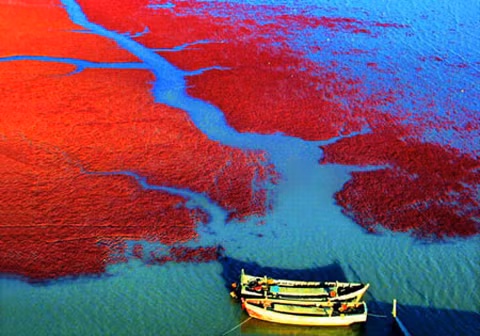 Hồ nước mùa thu ở Liêu Ninh