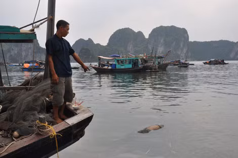 Xác nạn nhân được ngư dân đưa vào bờ bàn giao cho cơ quan chức năng khám nghiệm