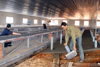 Hiện Công ty tiếp tục mở rộng chuồng trại.