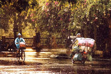 Chiều mưa trên phố, Giải khuyến khích Tác giả: Lê Thu Trang (Hưng Yên)