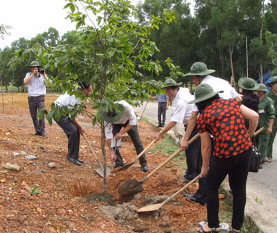  10 cây mai vàng Yên Tử gần 10 năm tuổi đựơc mang từ Quảng Ninh đến trồng tại Cụm tượng đài TNXP