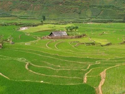 Sapa - các tour miền Bắc đang được khuyến mãi. 