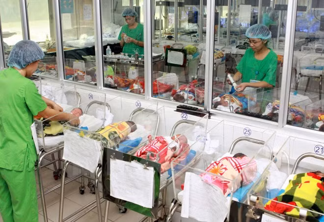 Chăm sóc trẻ sơ sinh tại Bệnh viện Phụ sản Trung ương, Hà Nội. (Ảnh: Dương Ngọc/TTXVN)