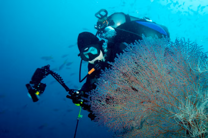 Quần đảo Raja Ampat Nằm ngoài khơi bờ biển Papua, quần đảo Raja Ampat được nhiều người bình chọn là một trong những địa điểm lặn biển lý tưởng nhất thế giới. Với những rạn san hô nguyên sinh là nơi cư trú của hàng ngàn loài cá, du khách sẽ dễ dàng bắt gặp sên biển, cá đuối Manta, và cá mập Epaulette, cùng nhiều loài khác. Có rất nhiều khu nghỉ dưỡng và tàu lặn cho du khách lựa chọn nơi nghỉ ngơi.