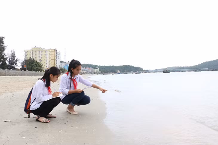 Huyền Trang và Huyền Nhi tìm hiểu về thực trạng môi trường Cô Tô.