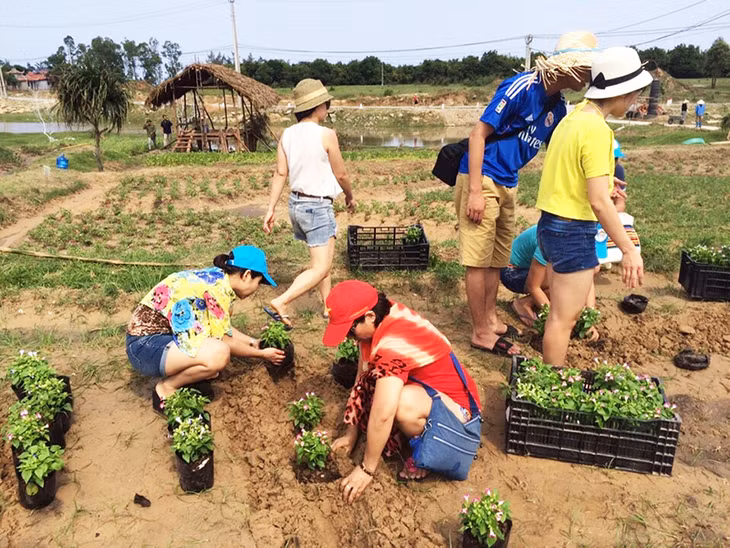 Du khách tham gia tour du lịch “Một ngày làm nông dân” trên đảo Quan Lạn.