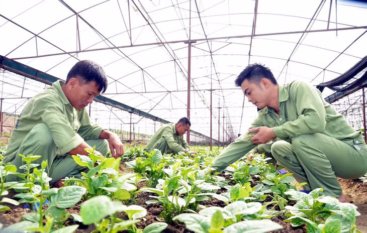 Học viên tăng gia sản xuất, cải thiện bữa ăn hằng ngày.