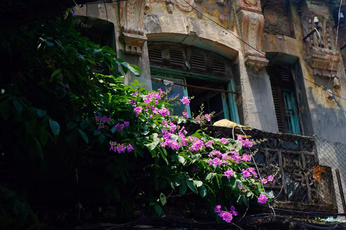 Khiêm nhường mà đầy lãng mạn bên trên một balcon ngôi nhà cổ...