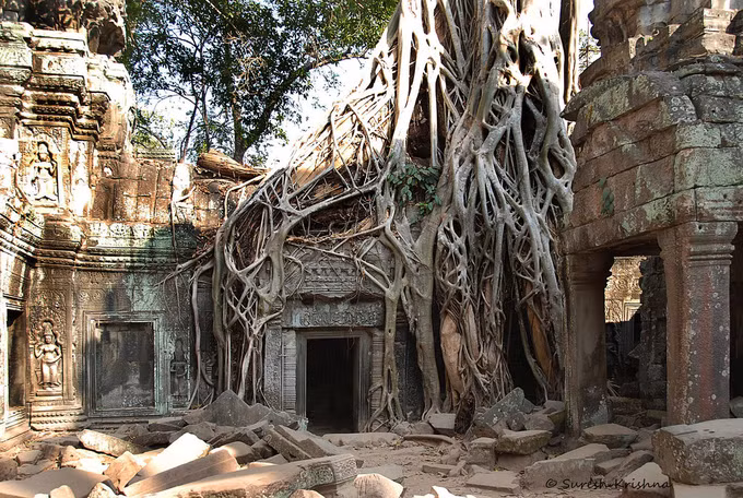 Siem Reap, Campuchia Những người yêu mạo hiểm sẽ tìm thấy những điều thú vị trong rừng nhiệt đới ở Siem Reap. Đến đây, nhiều du khách thường tham quan Bảo tàng Quốc gia Angkor, nơi giới thiệu về nền văn minh Khmer; những ngôi đền Angkor gần đó, đặc biệt là Angkor Wat, nơi lớn nhất và được coi là đẹp nhất. Siem Reap cũng có khu ẩm thực đường phố sôi động cả ngày lẫn đêm, với các nhà hàng đối diện khu chợ cũ và gần khách sạn Park Hyatt. Ảnh: Flickr.
