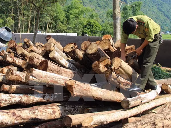 (Ảnh minh họa: Hoàng Nguyên/TTXVN)