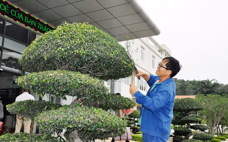 Niềm vui của anh Nguyễn Đình Thành là trồng cây, trồng hoa, mang niềm vui đến cho mọi người.