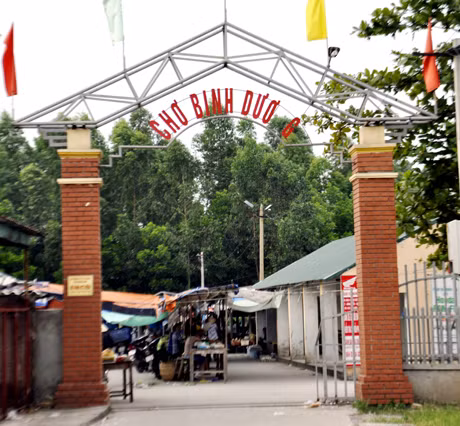 Chợ Bình Dương (Đông Triều).