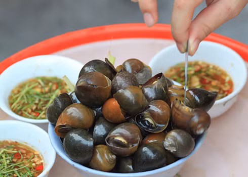Muốn có món ốc luộc ngon, bạn phải biết cách làm sạch bùn, đất cũng như chất nhờn của ốc. Ảnh: Ngoisao.net.