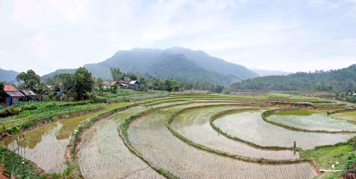 Thấp thoáng những ruộng bậc thang nối tiếp nhau