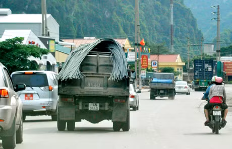 Xe chở nặng, cồng kềnh, không hề được chằng buộc..."vô tư" lưu thông trên đường (ảnh chụp: phường Quang Hanh, Cẩm Phả)