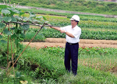 Ông Lê Quang Thắng giới thiệu mô hình rau an toàn của Công ty.