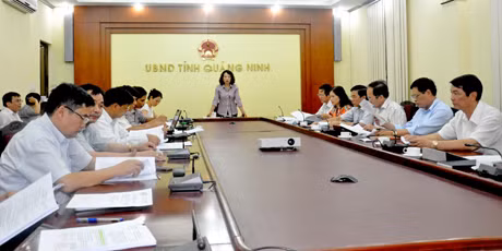 Đồng chí Vũ Thị Thu Thuỷ, Phó Chủ tịch UBND tỉnh phát biểu kết luận buổi họp.