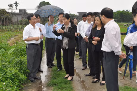Đồng chí Đỗ Thị Hoàng, kiểm tra vùng sản xuất rau an và cây dược liệu tại xã Quảng Minh