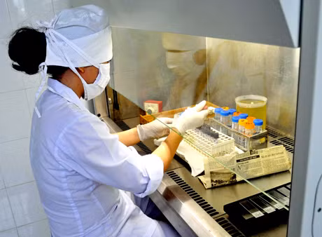 Làm xét nghiệm phát hiện vi khuẩn lao tại Bệnh viện Lao và Phổi tỉnh.
