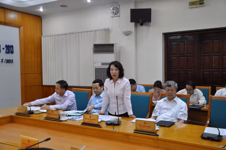 đồng chí Vũ Thị Thu Thủy, Phó Chủ tịch UBND tỉnh phát biểu tại phiên họp