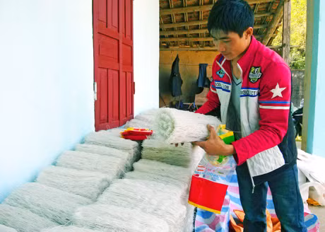 La A Lồng kiểm tra chất lượng sản phẩm miến dong trước khi giao cho khách hàng.