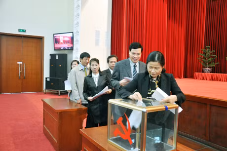 Các đồng chí lãnh đạo tỉnh tham gia bỏ phiếu quy hoạch cán bộ nhiệm kỳ 2015-2020 và giai đoạn 2016-2021.