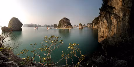 Hoa trên Vịnh. Hoa trên Vịnh.