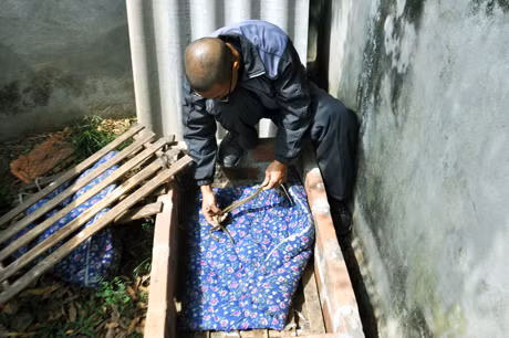 Anh Trương Công Quân (thôn Khe Khoai, xã Thống Nhất, huyện Hoành Bồ) đang kiểm tra dịch bệnh cho rắn con.