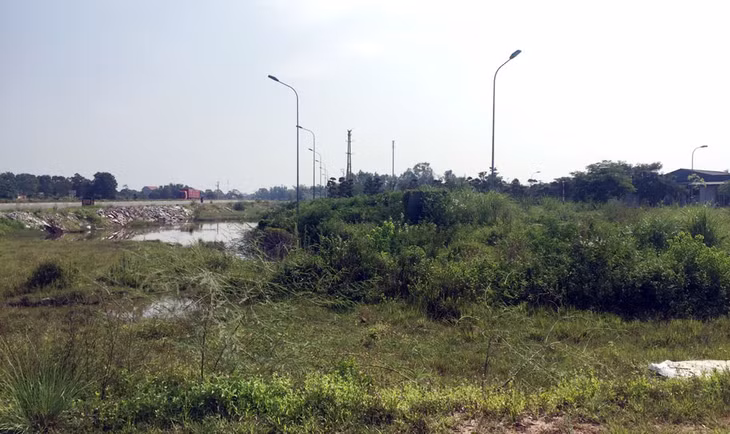 Qua rà soát, thành phố Móng Cái đã đề xuất UBND tỉnh ra quyết định thu hồi đối với