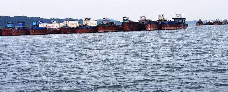 Phương tiện chờ làm hàng tại Cảng Vạn Gia.