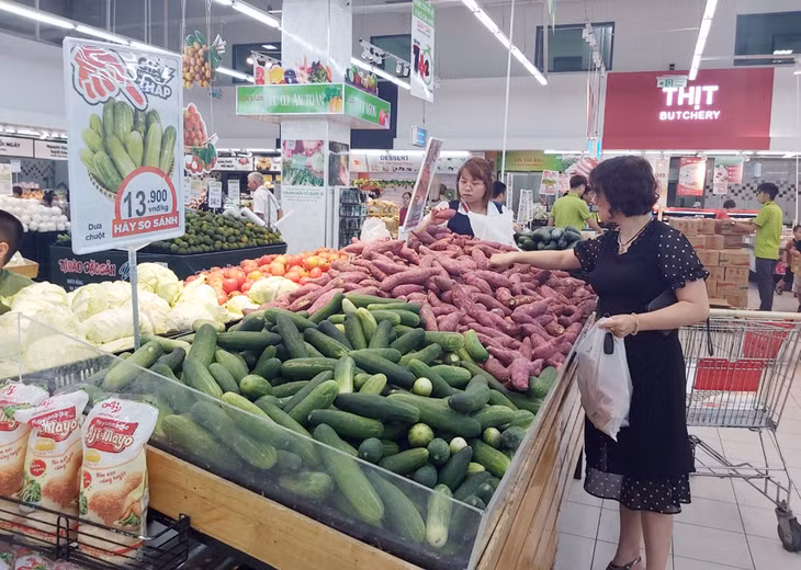 Siêu thị Big C Hạ Long triển khai sử dụng các loại túi sinh học tự hủy để khách hàng đựng sản phẩm.