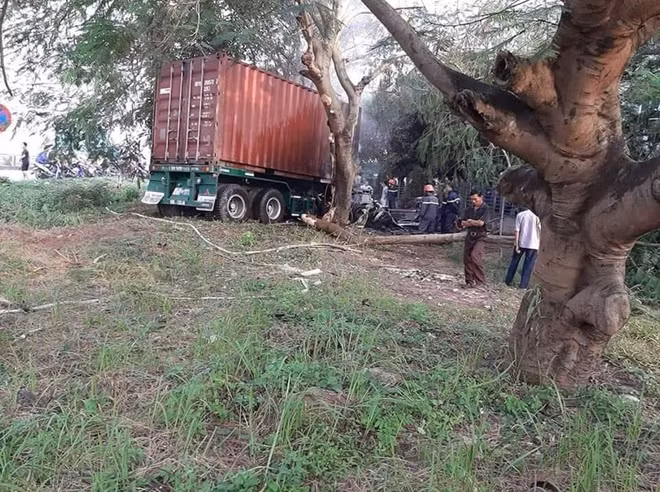 Chiếc xe container lao xuống ven đường và đâm vào một gốc cây.