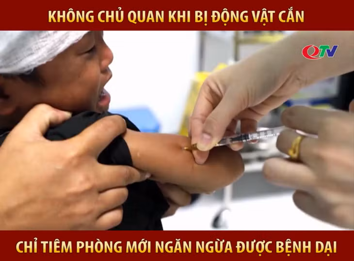 Một em bé tại huyện Đầm Hà đã bị chó cắn gây thương tích vùng mặt.