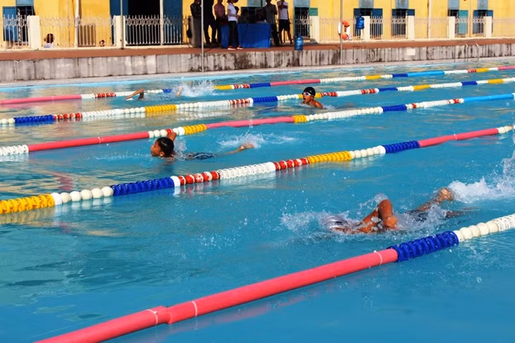 Các VĐV thi đấu ở các nội dung tự do và bơi ếch dành cho nam và nữ với các cự ly 50m và 100m