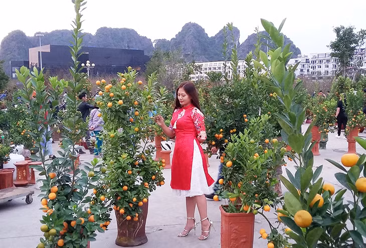 Tổng Liên đoàn Lao động Việt Nam vừa đề nghị tăng số ngày nghỉ Tết Dương lịch lên 2 ngày thay vì 1 ngày như hiện nay. Trong ảnh: Hội hoa xuân 2019 tại TP Hạ Long.