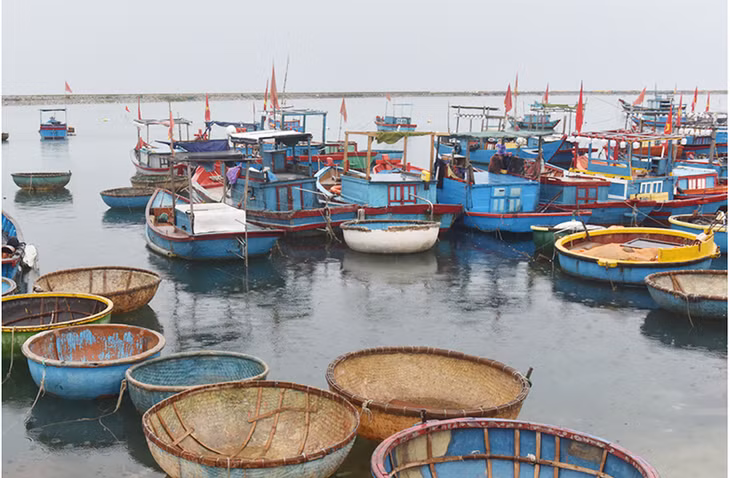 Tàu bè đậu tấp nập.