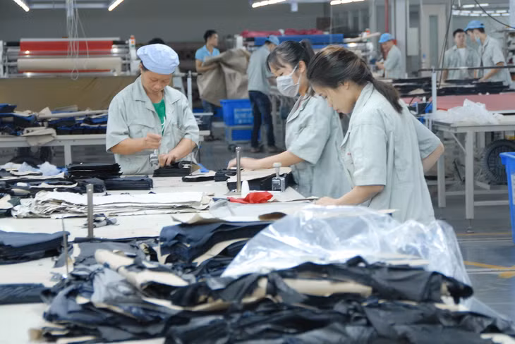 Hải Hà hiện có hơn 4.000 lao động đã quan đào tạo nghề, đang làm việc tại các nhà máy thuộc Khu công nghiệp cảng biển Hải Hà.