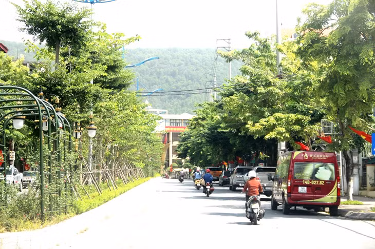 cẩm phả