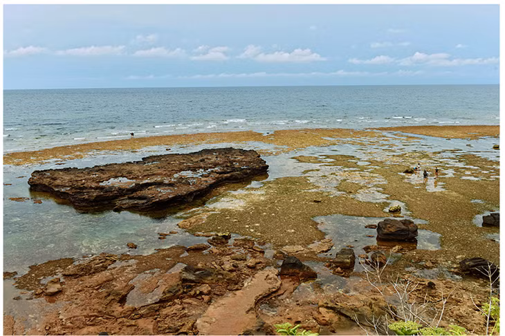 Một góc bãi biển Lý Sơn.