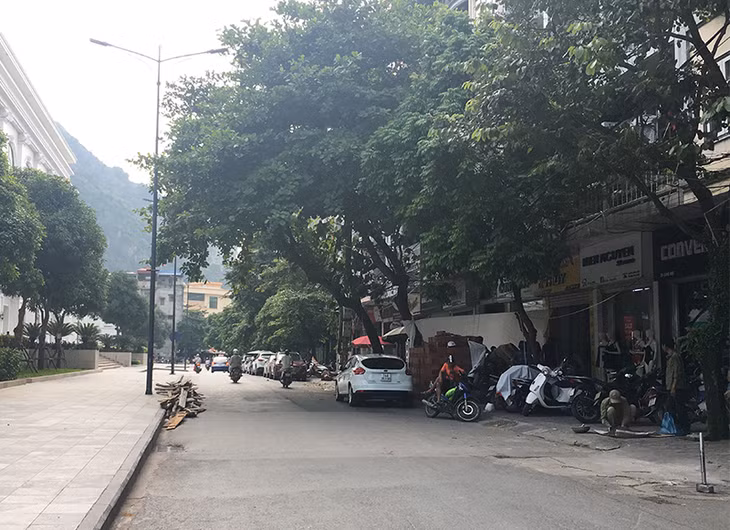 Vào những ngày c đặc biệt là những ngày cuối tuần, xung quanh Trung tâm thương mại Vincom Hạ Long thường xuyên xảy ra tình trạng ùn tắc giao thông. Nguyên nhân là do là nhiều xe taxi dừng, đỗ đón trả khách chiếm hết lối đi hay các phương tiện của người dân, khách du lịch đỗ để vào chợ Hạ Long 1 gây cản trở xe ra vào Trung tâm thương mại Vincom. Đặc biệt, lối vào tầng hầm Vincom (cũng là khu vực cổng sau chợ Hạ Long 1), lòng đường, vỉa hè bị người dân lấn chiếm, biến thành nơi họp chợ trái phép, vừa gây mất mỹ quan, vừa gây ô nhiễm môi trường. Được biết, tình trạng ô nhiễm và lộn xộn ở đây đã tồn tại nhiều năm.