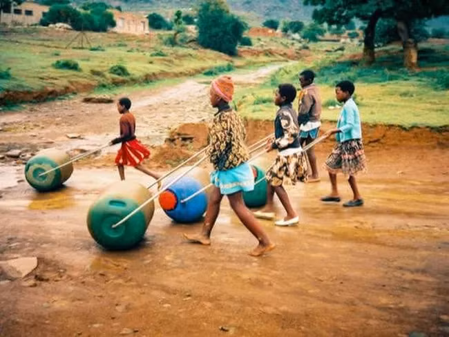 (Ảnh trong bài: hipporoller.org)