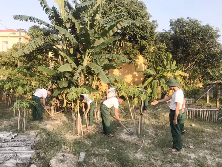 Chăm sóc cây cối tại Trường Quân sự tỉnh.