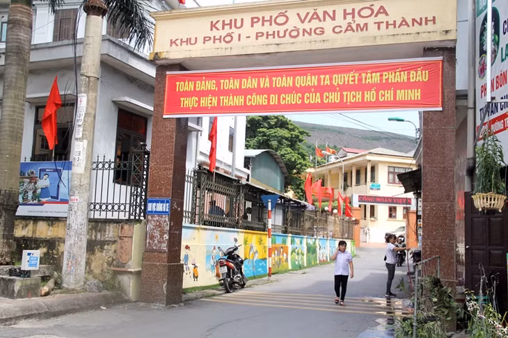 cẩm phả