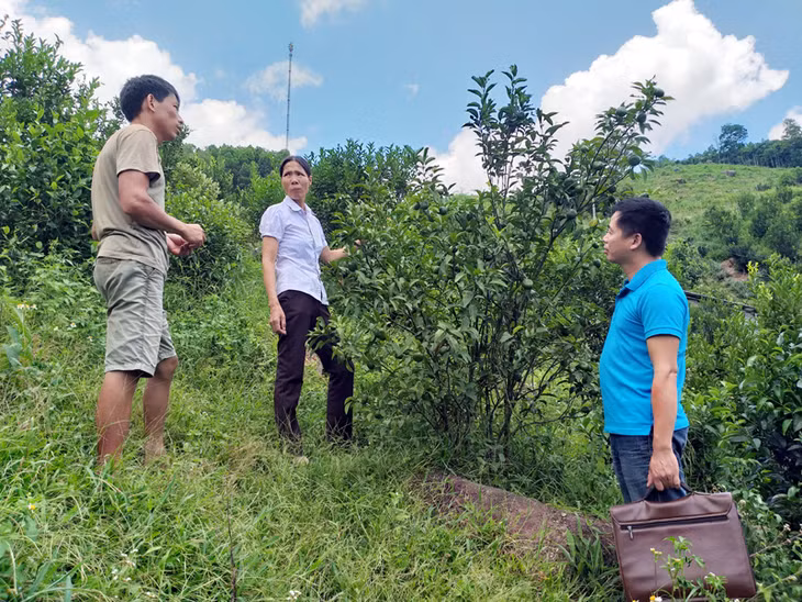 Chị Lê Thị Bảy chia sẻ kinh nghiệm trồng cam với các hộ trong thôn