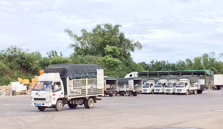 Hệ thống kho, bãi...Công ty Cổ phầnThành Đạt (Móng Cái) đầu tư đưa vào hoạt động, góp phần tạo nhiều thuận lợi cho dịch vụ logistic địa phương phát triển.