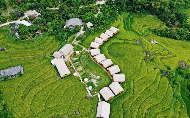 Danh thắng ruộng bậc thang được huyện Hoàng Su Phì khai thác phát triển du lịch, nhiều làng văn hóa du lịch được hình thành bên những thửa ruộng bậc thang kỳ vĩ./.
