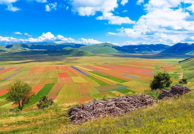 Cánh đồng hoa Castelluccio, Italy: Những loài hoa ở Castelluccio nở rộ nhất vào tháng 6 hàng năm.